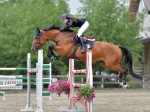 Clubul Equestria, Echitatie Si Relaxare, Langa Bucuresti 18